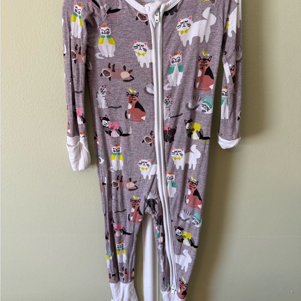 Little Sleepies Multicolor Animal Print Kids Footie